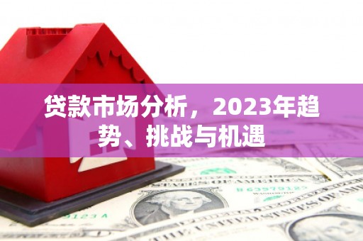 尼玛贷款市场分析，2023年趋势、挑战与机遇