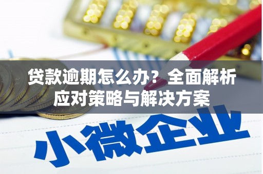 尼玛贷款逾期怎么办？全面解析应对策略与解决方案