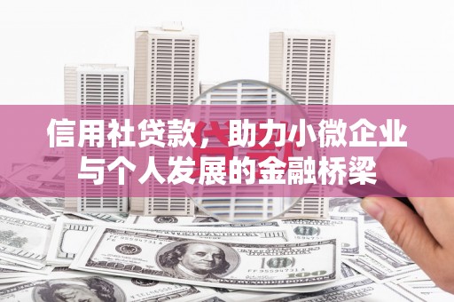 尼玛信用社贷款，助力小微企业与个人发展的金融桥梁