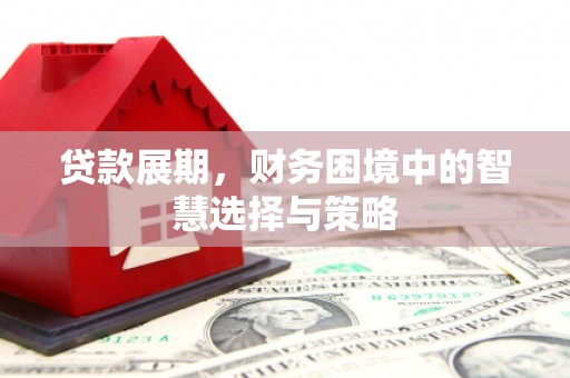 尼玛贷款展期，财务困境中的智慧选择与策略