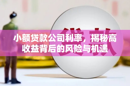 尼玛小额贷款公司利率，揭秘高收益背后的风险与机遇