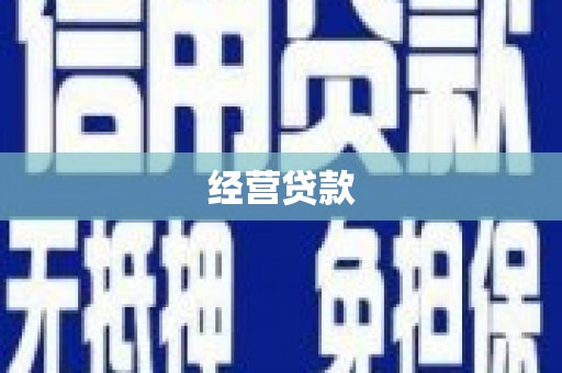 尼玛经营贷款