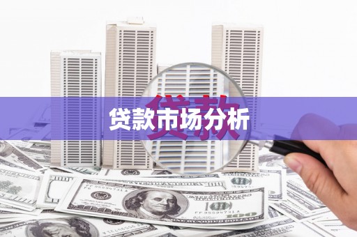 尼玛贷款市场分析