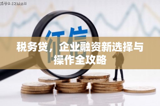 尼玛税务贷，企业融资新选择与操作全攻略