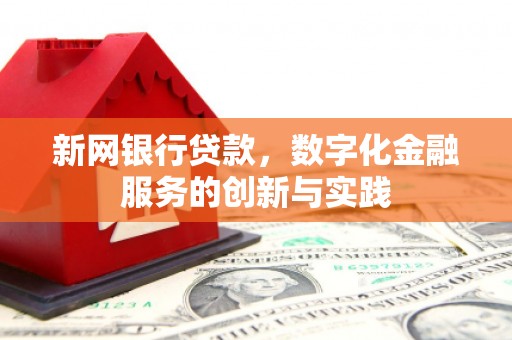 尼玛新网银行贷款，数字化金融服务的创新与实践