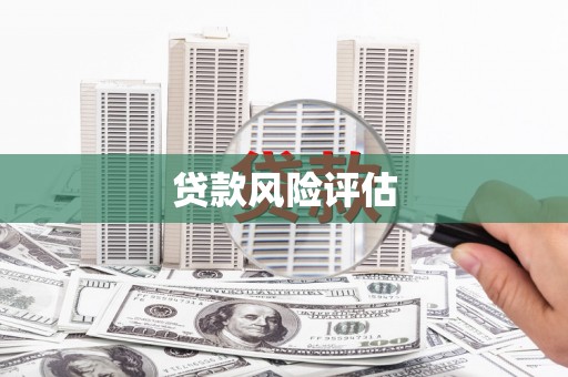 尼玛贷款风险评估