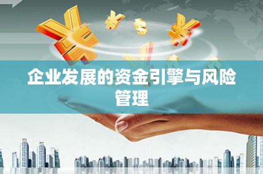 尼玛企业发展的资金引擎与风险管理