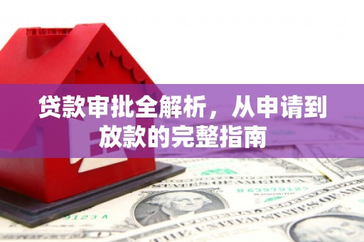 尼玛贷款审批全解析，从申请到放款的完整指南
