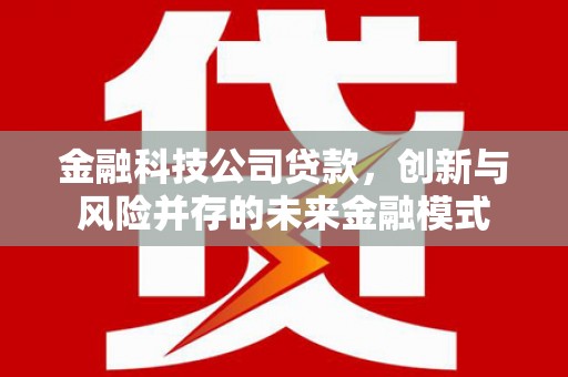 尼玛金融科技公司贷款，创新与风险并存的未来金融模式