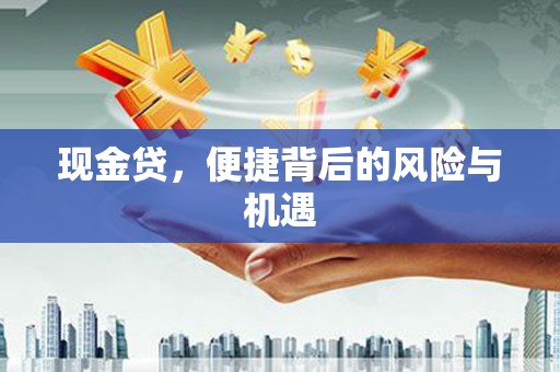 尼玛现金贷，便捷背后的风险与机遇