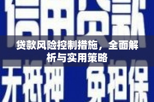 尼玛贷款风险控制措施，全面解析与实用策略