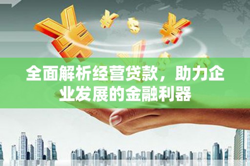 尼玛全面解析经营贷款，助力企业发展的金融利器
