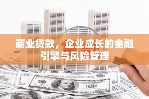 尼玛商业贷款，企业成长的金融引擎与风险管理