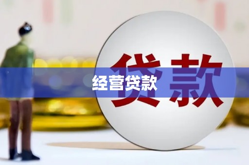 尼玛经营贷款