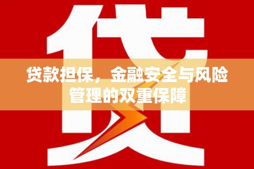 尼玛贷款担保，金融安全与风险管理的双重保障