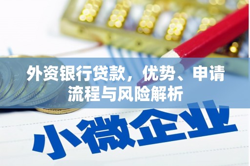 尼玛外资银行贷款，优势、申请流程与风险解析