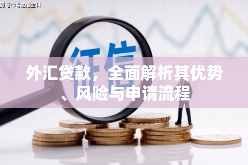 尼玛外汇贷款，全面解析其优势、风险与申请流程