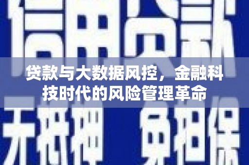 尼玛贷款与大数据风控，金融科技时代的风险管理革命