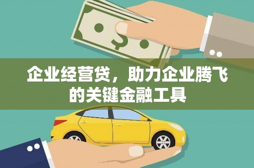 尼玛企业经营贷，助力企业腾飞的关键金融工具