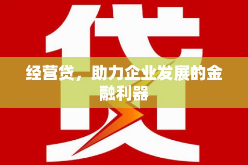 尼玛经营贷，助力企业发展的金融利器