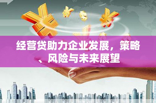 尼玛经营贷助力企业发展，策略、风险与未来展望