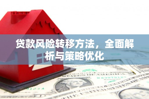 尼玛贷款风险转移方法，全面解析与策略优化