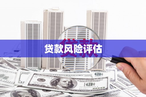 尼玛贷款风险评估