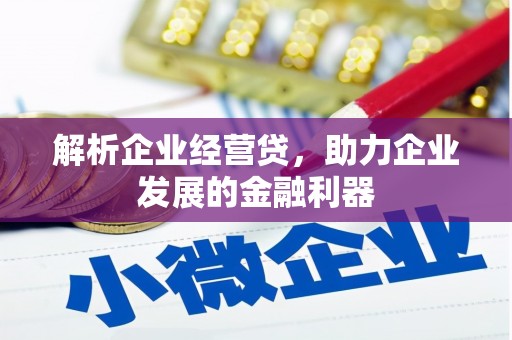 尼玛解析企业经营贷，助力企业发展的金融利器