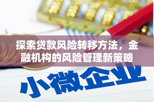 尼玛探索贷款风险转移方法，金融机构的风险管理新策略