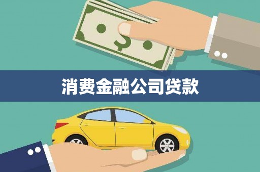 尼玛消费金融公司贷款