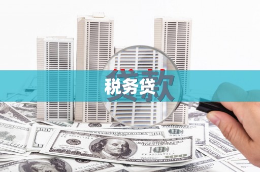尼玛税务贷