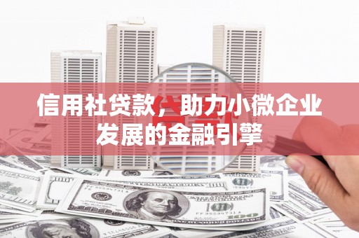 尼玛信用社贷款，助力小微企业发展的金融引擎