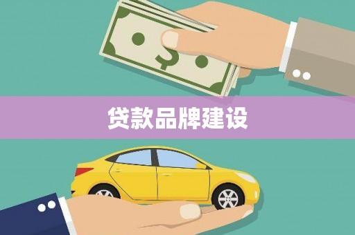 尼玛贷款品牌建设