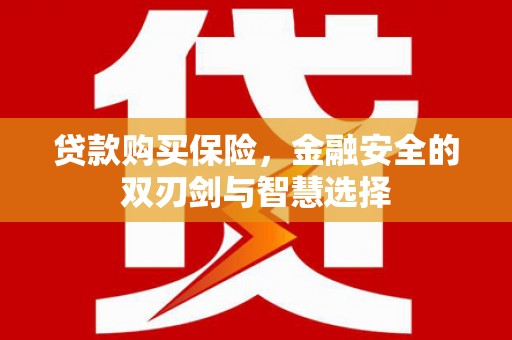 尼玛贷款购买保险，金融安全的双刃剑与智慧选择