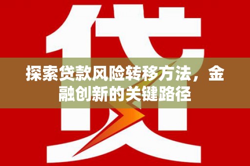 尼玛探索贷款风险转移方法，金融创新的关键路径