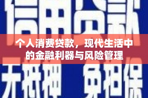 尼玛个人消费贷款，现代生活中的金融利器与风险管理
