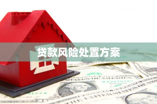 尼玛贷款风险处置方案