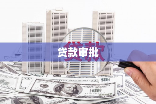 尼玛贷款审批