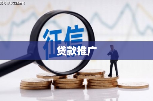 尼玛贷款推广