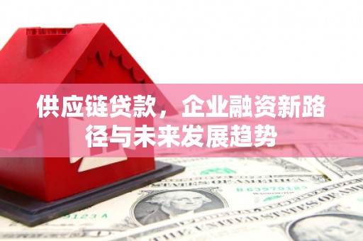 尼玛供应链贷款，企业融资新路径与未来发展趋势