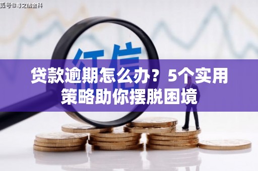 尼玛贷款逾期怎么办？5个实用策略助你摆脱困境