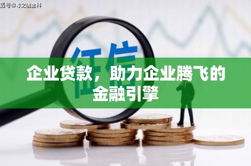 尼玛企业贷款，助力企业腾飞的金融引擎