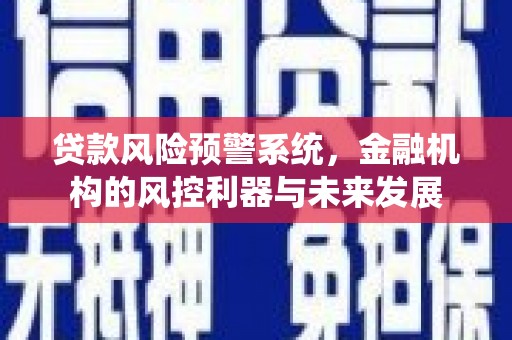 尼玛贷款风险预警系统，金融机构的风控利器与未来发展