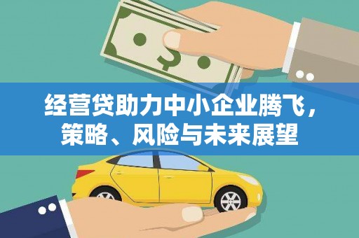尼玛经营贷助力中小企业腾飞，策略、风险与未来展望