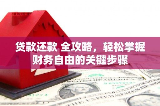 尼玛贷款还款 全攻略，轻松掌握财务自由的关键步骤