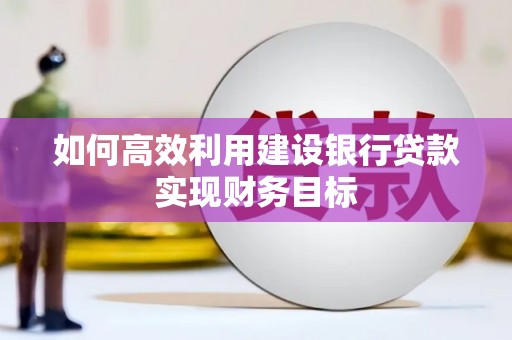 尼玛如何高效利用建设银行贷款实现财务目标