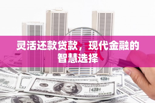 尼玛灵活还款贷款，现代金融的智慧选择