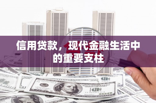 尼玛信用贷款，现代金融生活中的重要支柱