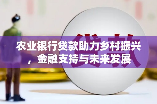 尼玛农业银行贷款助力乡村振兴，金融支持与未来发展