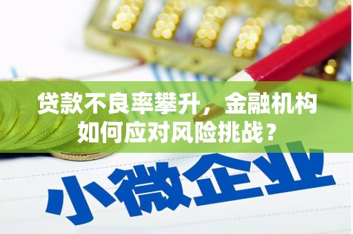 尼玛贷款不良率攀升，金融机构如何应对风险挑战？
